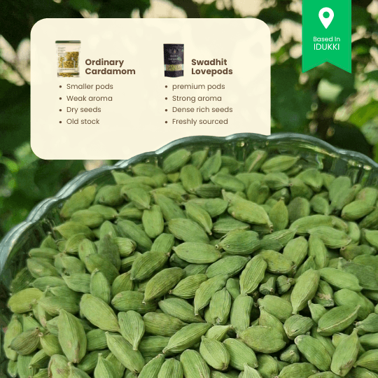 Lovepods premium product4 (1)