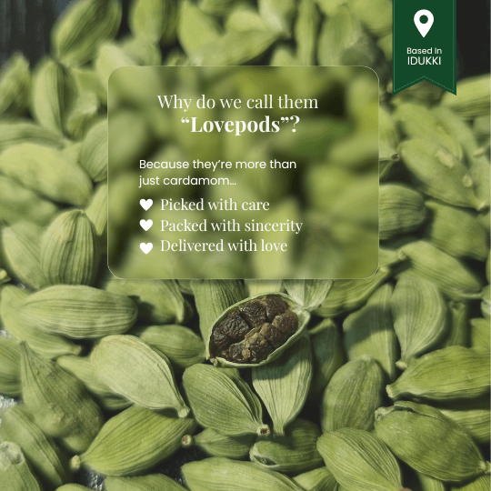 Lovepods Essence | Quality Cardamom for Daily Use (6-7mm)